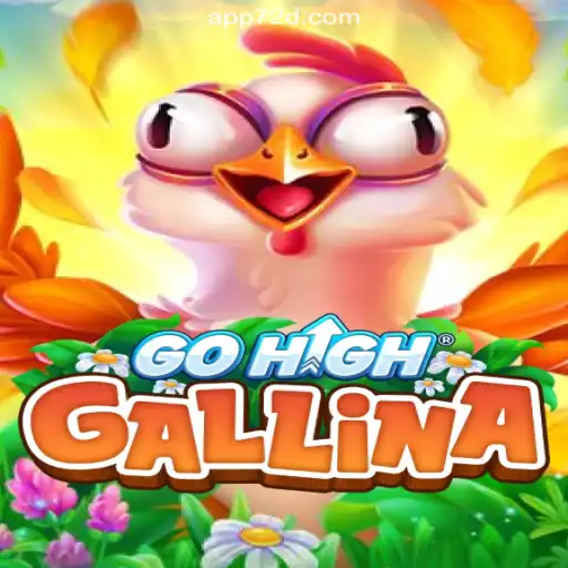 Exploring the Enigmatic World of GoHighGallina on 72d.COM's Platform